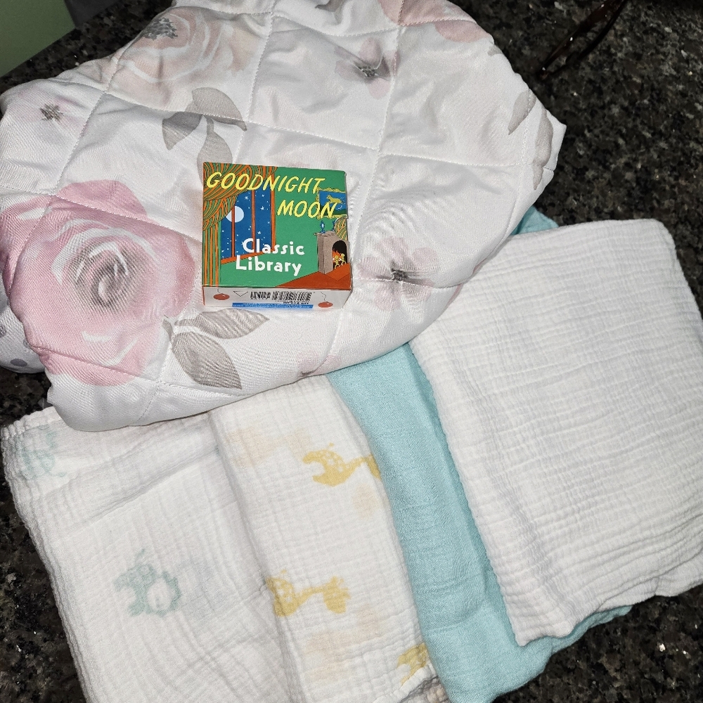Aden & Anais Baby Blankets Sweet JoJo Quilted Changing Pad Cover, Goodnight Moon